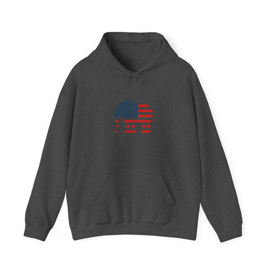 Republican Elephant hoodie